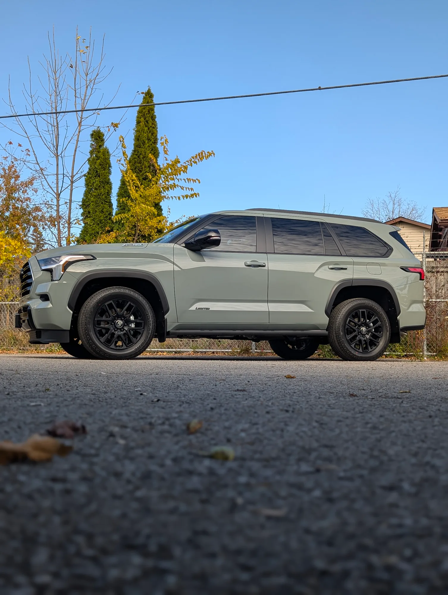 Window Tint 1